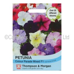 Thompson & Morgan Petunia Colour Parade